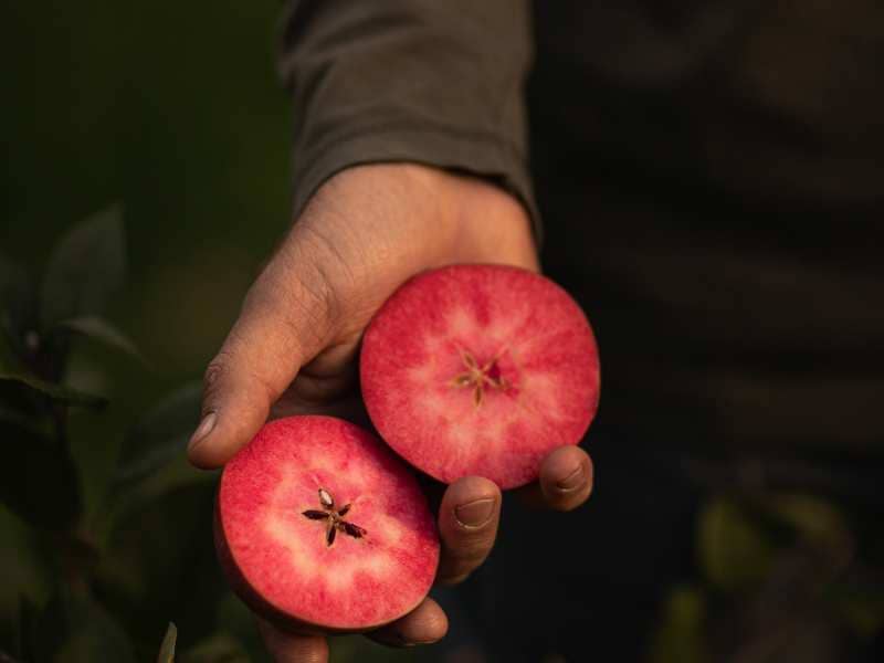 Roten Innenseite Apfel