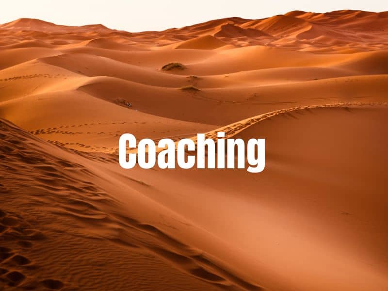 Mike Aßmann, Coaching Unternehmercoaching